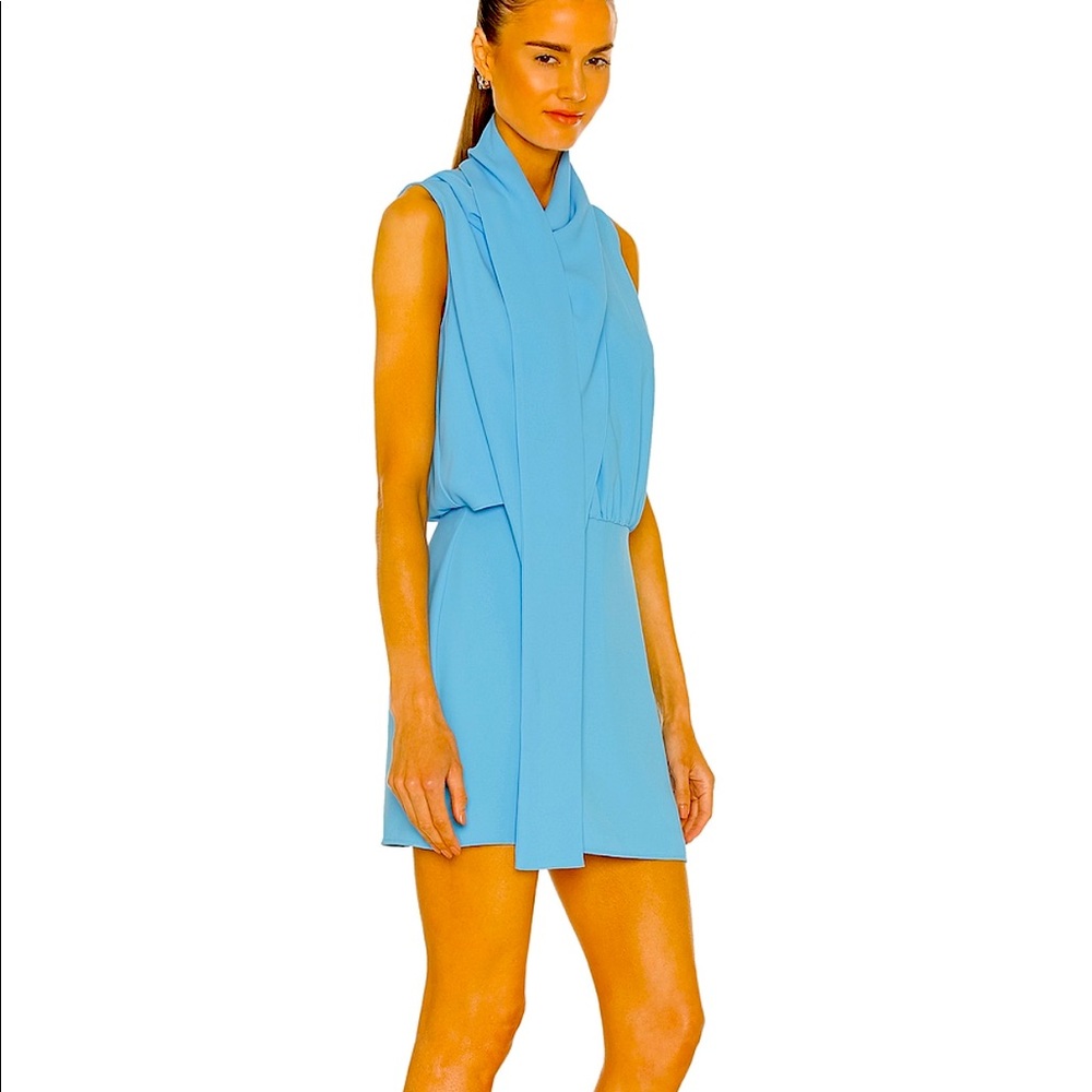 Amanda Uprichard Phillipe Dress